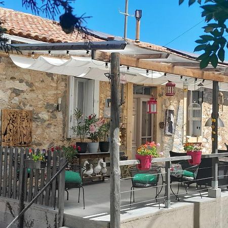 Sur La Bonnefooi Bed & Breakfast Prades-sur-Vernazobre ภายนอก รูปภาพ